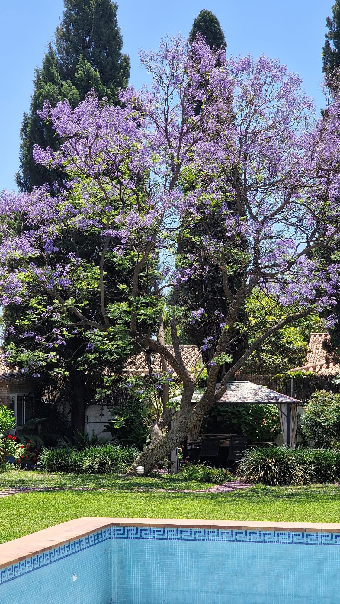 Jardín con piscina